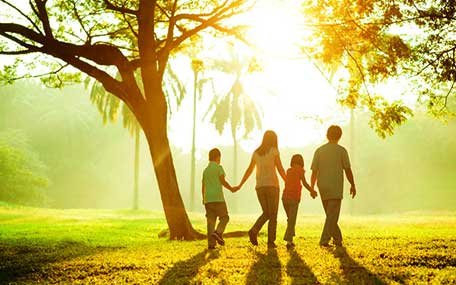 Nature Walk Around Resort