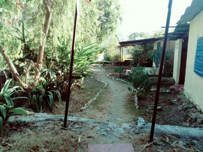 Camp Crossfire Adventure