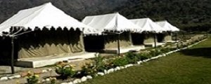 Jungle Camping in Shivpuri with authentic nature experience